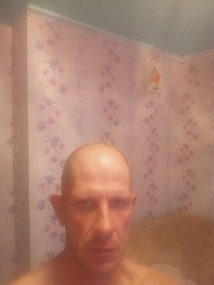  45491042  , 43 ,    
