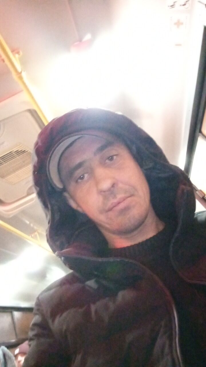  40633852  , 43 ,    -
