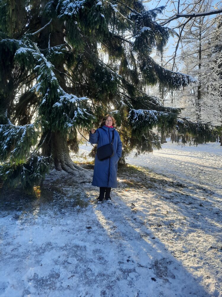  54505872  , 62 ,    -