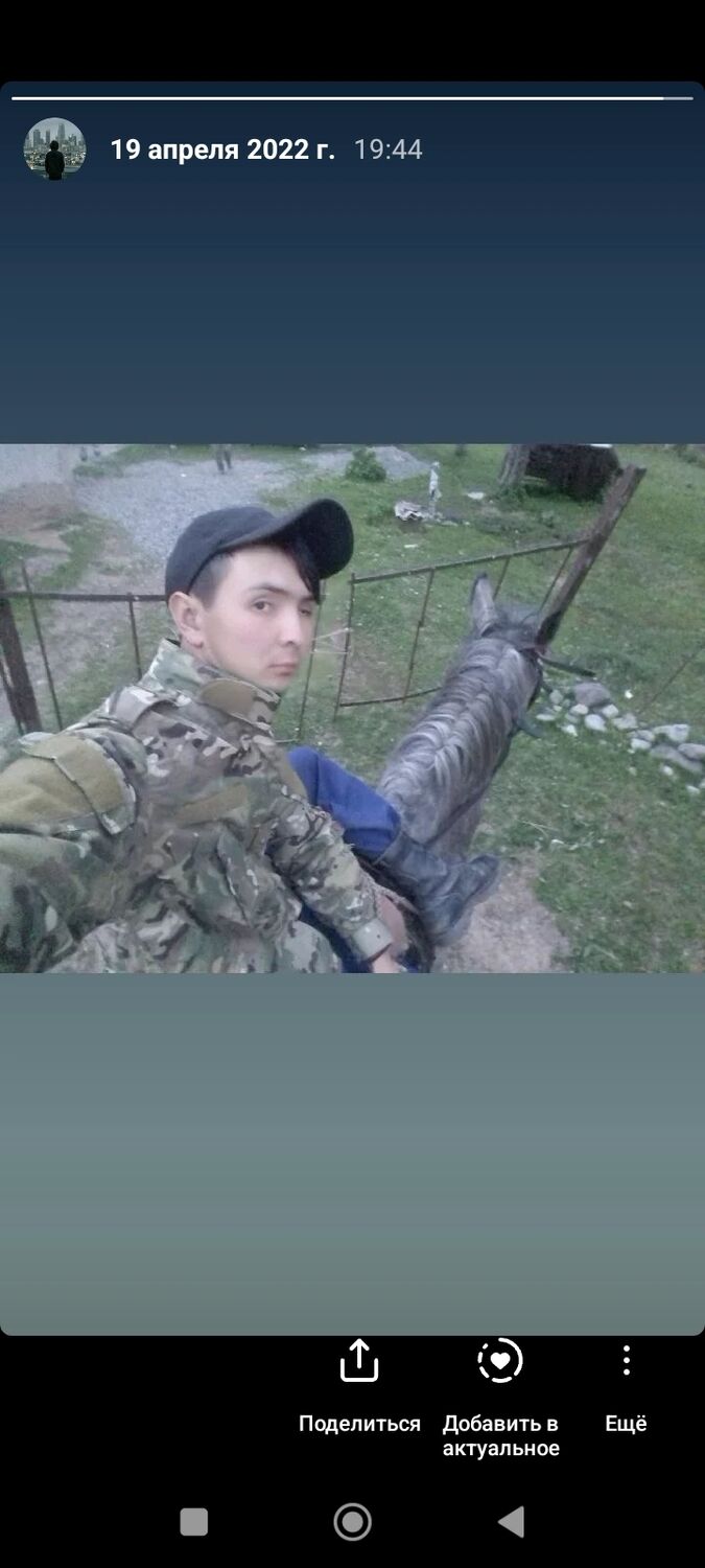  43195242  , 26 ,    