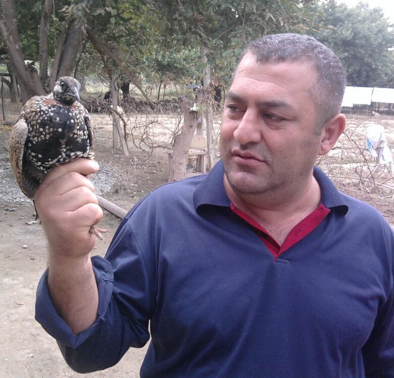 ���������� ������, ���� ������� ����, 53 ����, ������������ ��� ������, ����� � ���������