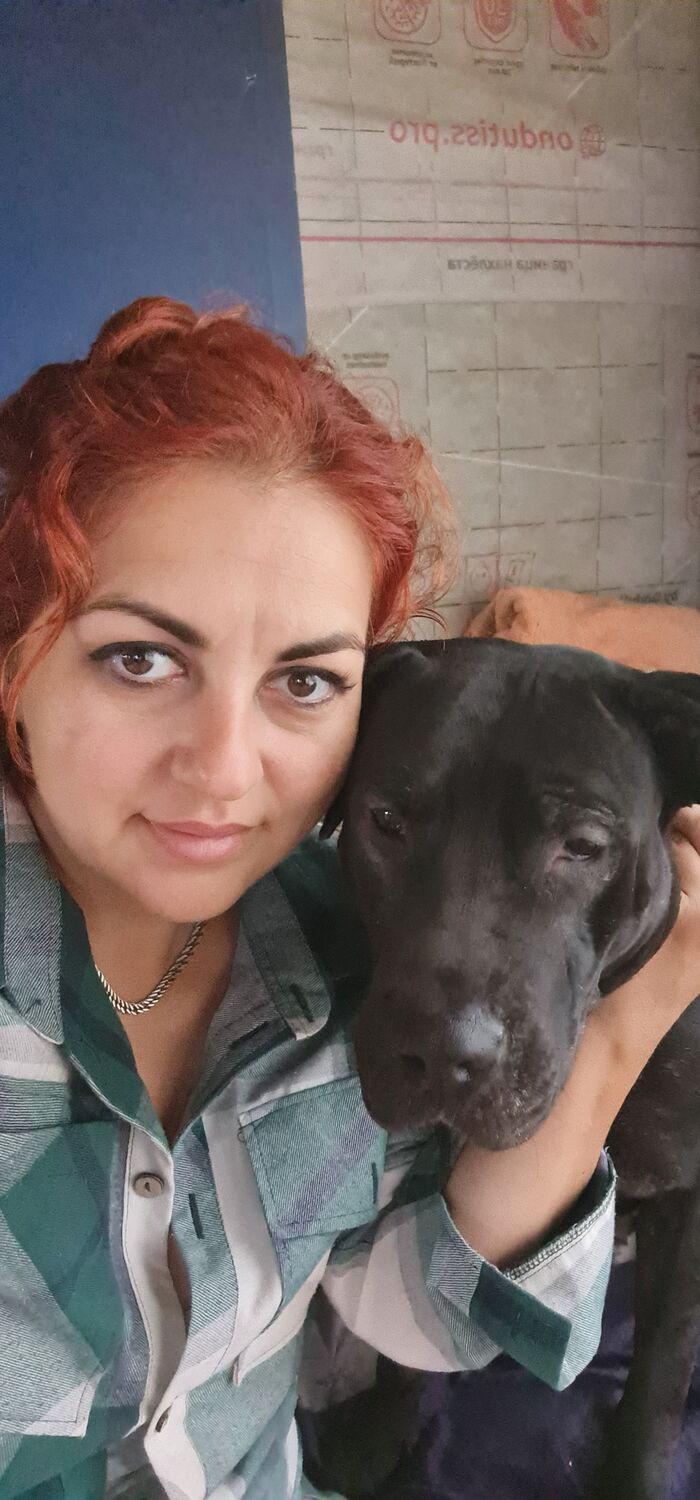  54410792  , 41 ,    -