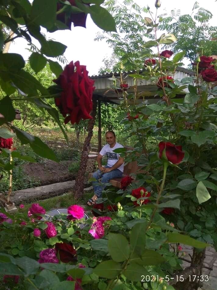 ���������� ������, ���� ������� Armen, 38 ���, ������������ ��� ����� � ���������, c�������� ���������