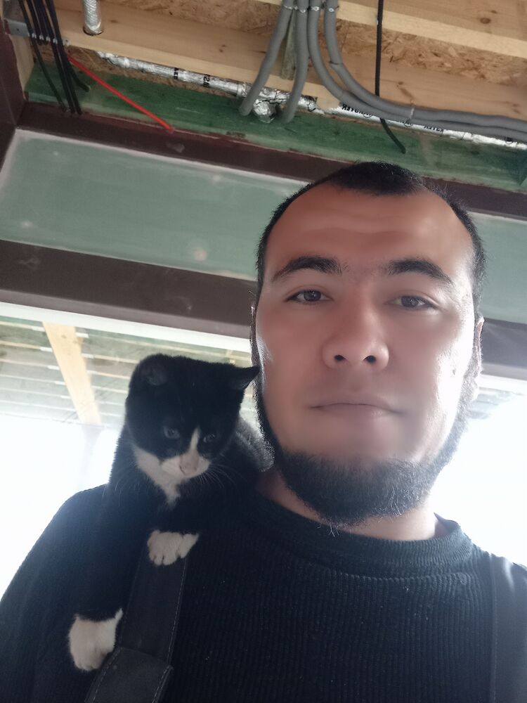 ���������� �����-���������, ���� ������� ���� � ����, 32 ����, ������������ ��� ����� � ���������, c�������� ���������