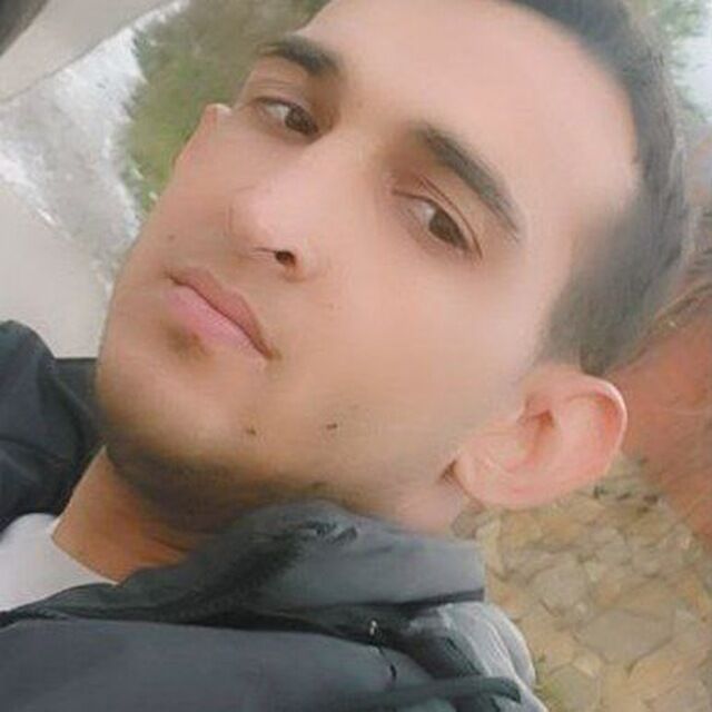 ���������� �����-���������, ���� ������� Bohodir, 28 ���, ������������ ��� ������, ����� � ���������, c�������� ���������