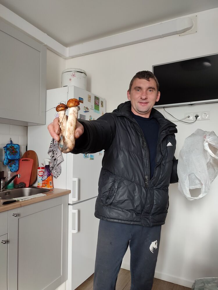 ���� 55346162 ������� ������, 44 ����, ���� ���������� � ��������