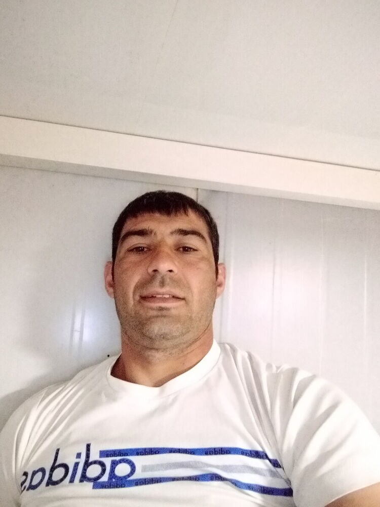  21175662  , 38 ,    