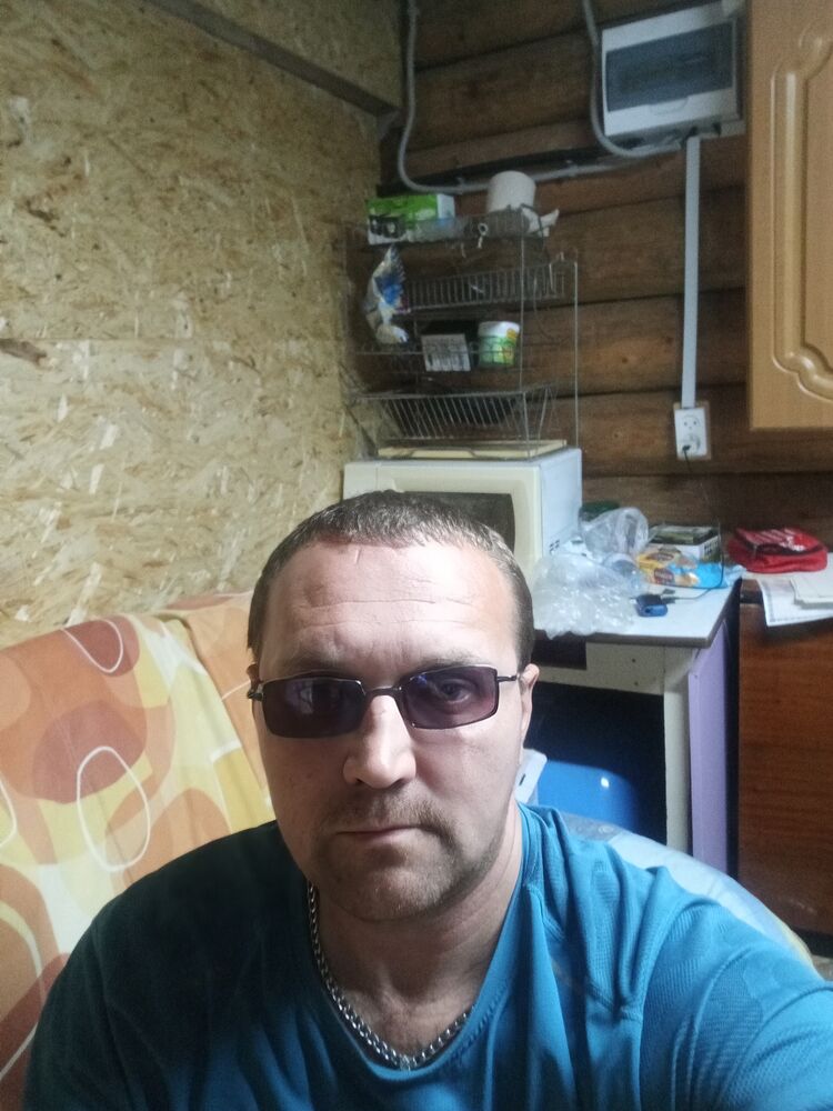  53506382  , 41 ,    