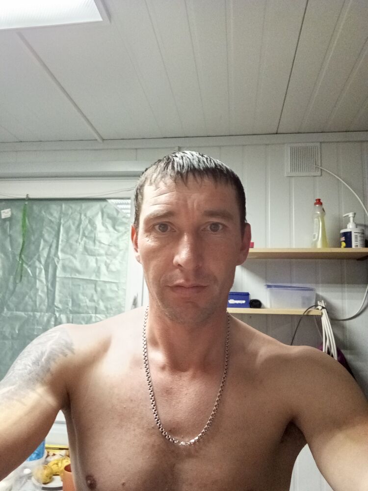  46586632  , 36 ,    