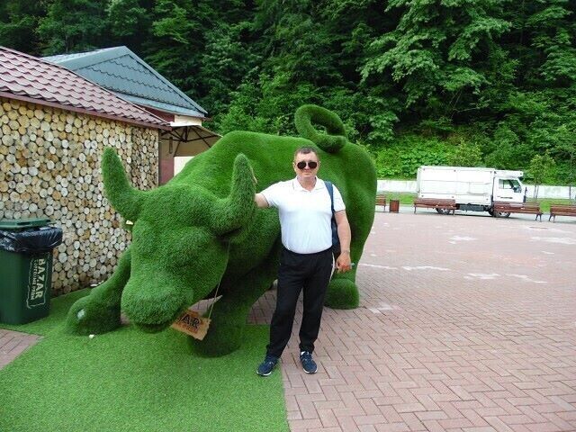 ���� 22428502 ������� ����, 60 ���, ���� ���������� � ����������