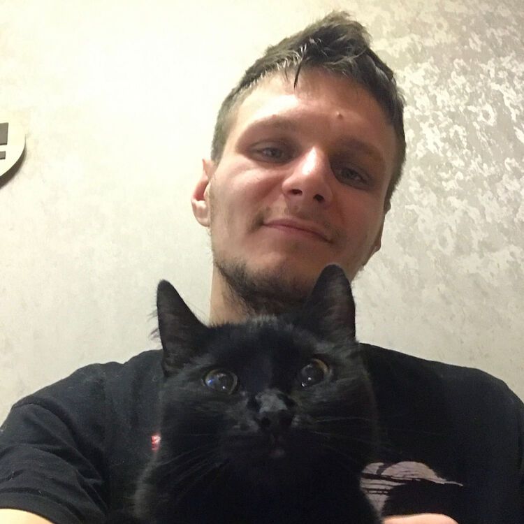 ���� 25561082 ������� ������, 29 ���, ���� ���������� � ������������