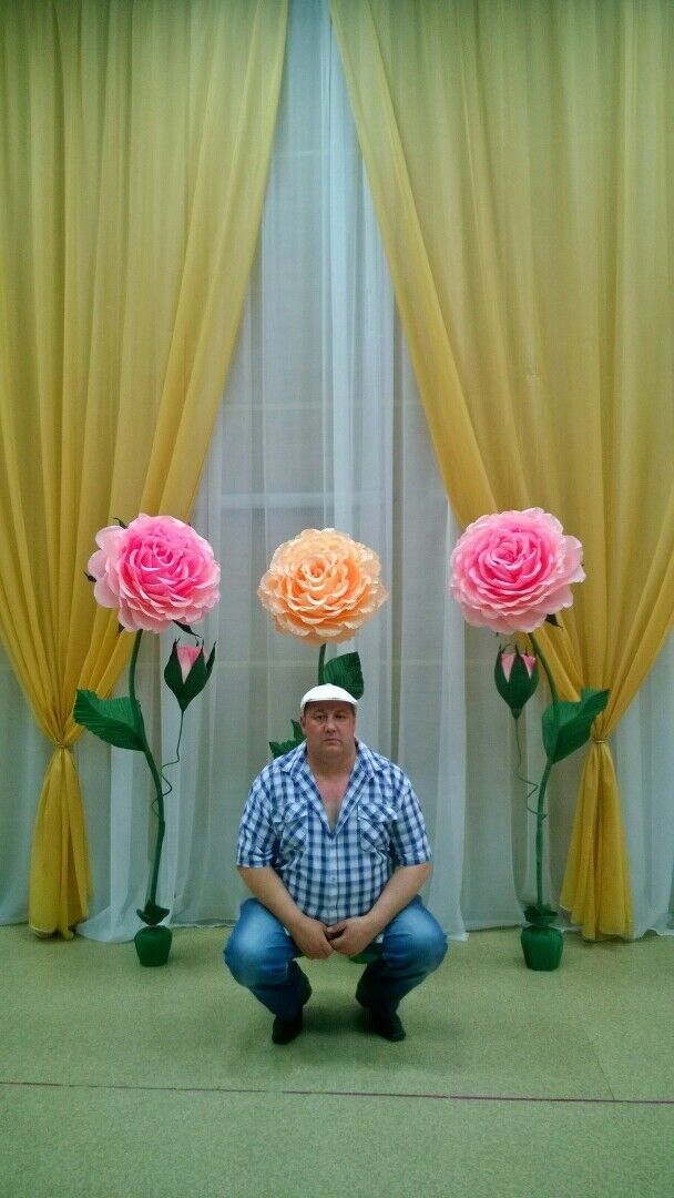 ���������� �����-���������, ���� ������� �������, 48 ���, ������������ ��� ������, ����� � ���������, c�������� ���������