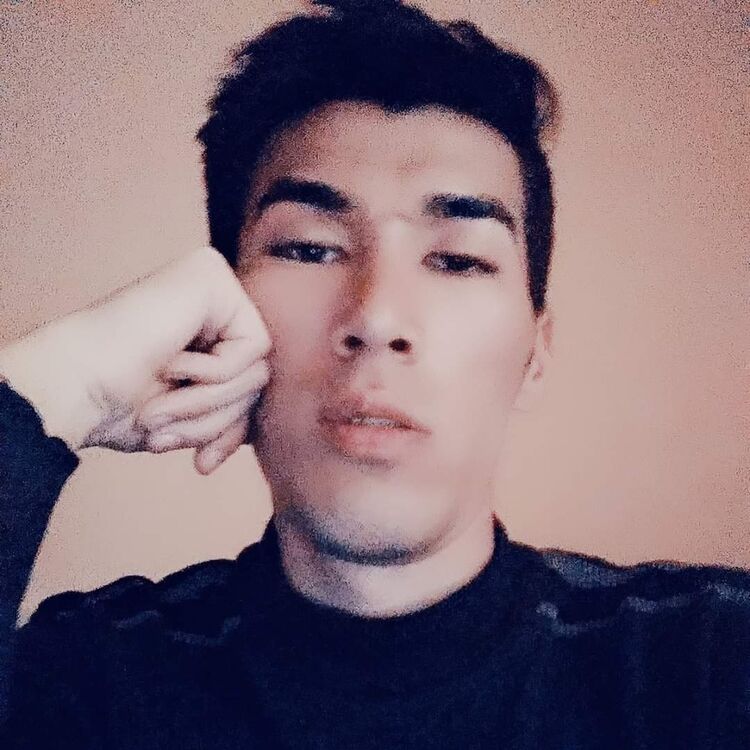 ���� 31391912 ������� ����, 29 ���, ���� ���������� � ������