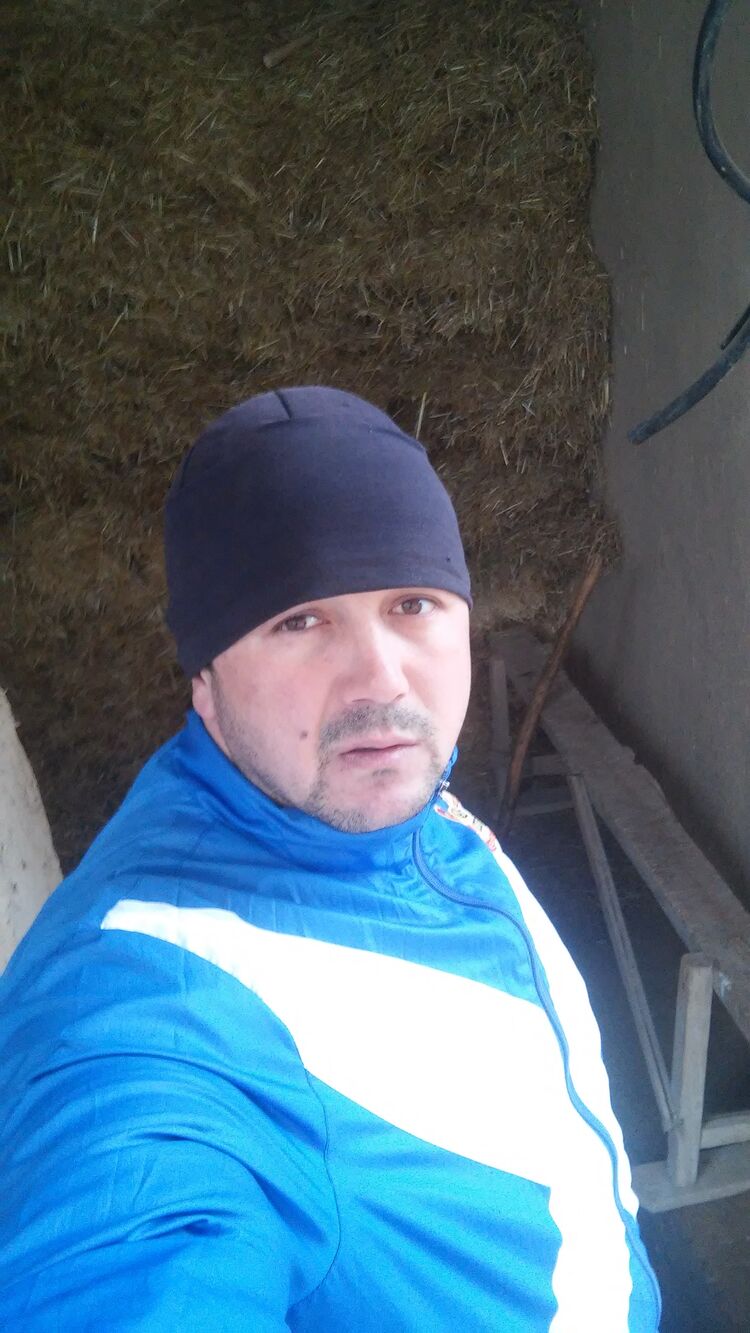  46013412  , 40 ,    