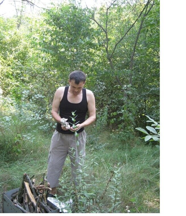 ���������� �������, ���� ������� Nicu, 55 ���, ������������ ��� ������, ����� � ���������, c�������� ���������