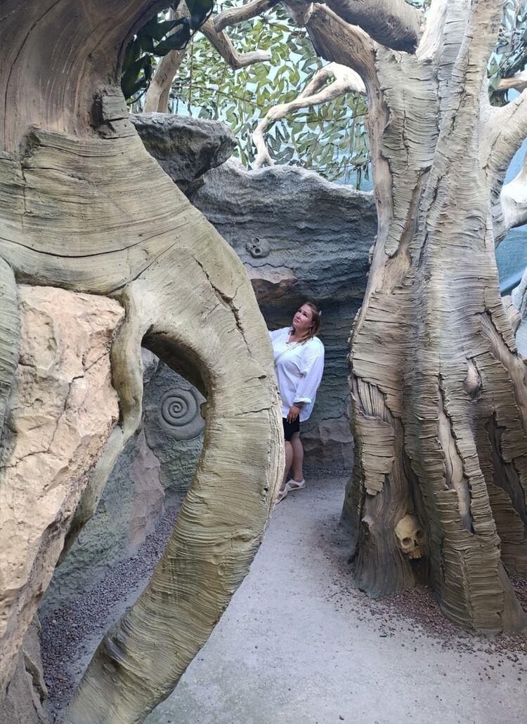  53892762  No, 35 ,    -