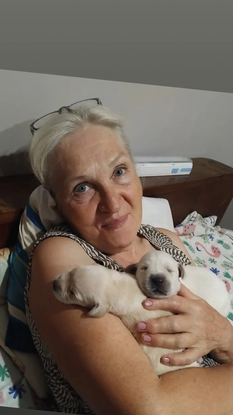 ���������� ����, ���� ������� �����, 67 ���, ������������ ��� c�������� ���������