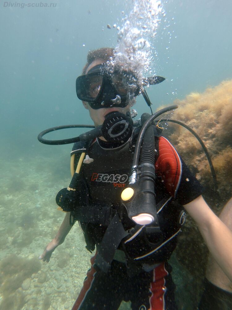 ���������� �����������, ���� ������� ���������, 32 ����, ������������ ��� ������, ����� � ���������