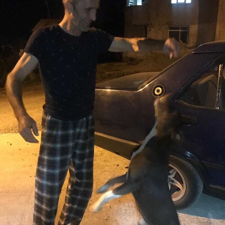 ���������� ���, ���� ������� Mursel, 51 ���, ������������ ��� ������, ����� � ���������, c�������� ���������