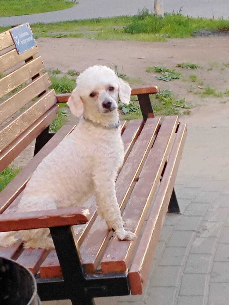 ���� 44309212 ������� Artur, 55 ���, ���� ���������� � ������