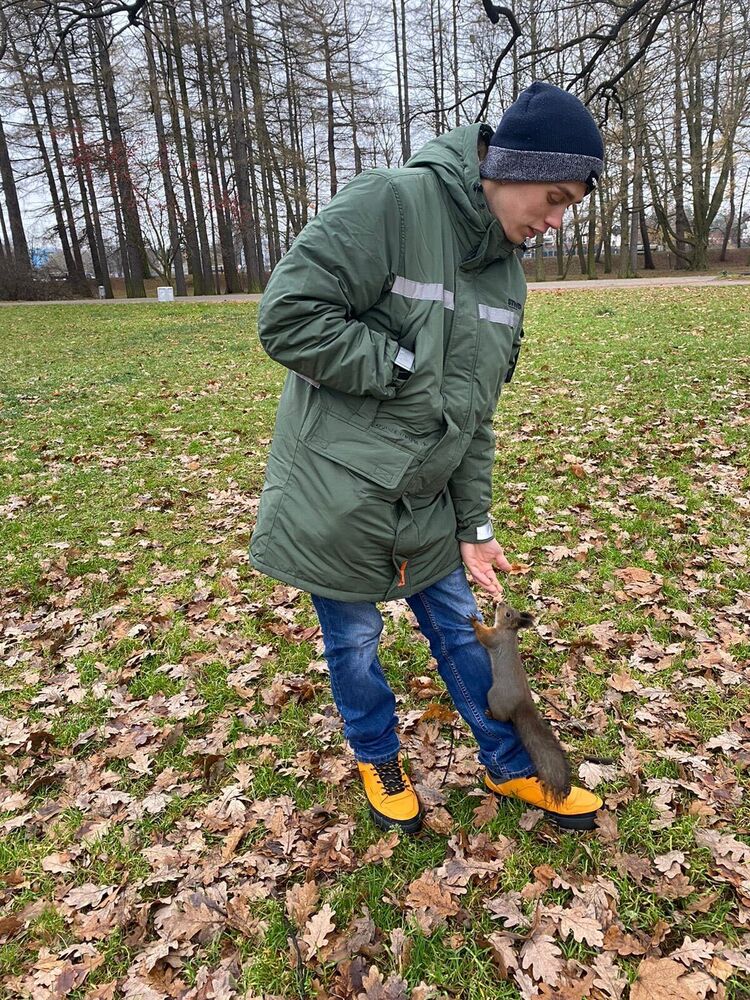  -,   , 28 ,   ,   , c 