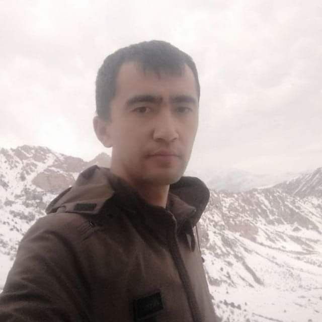  49330272  , 37 ,    Frankfurt Am Main