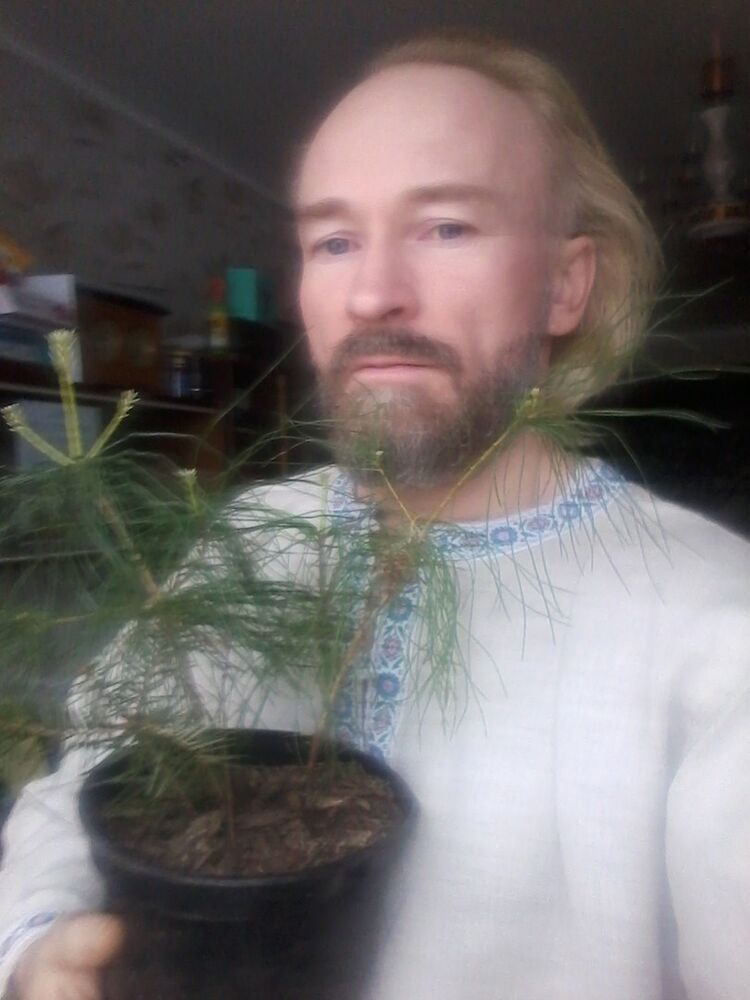 ���� 17748372 ������� ������, 55 ���, ���� ���������� � �����-����������