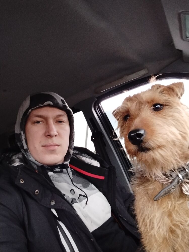 ���� 43038572 ������� �������, 34 ����, ���� ���������� � ���������