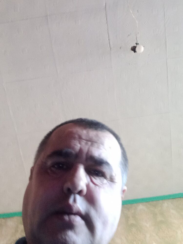  29215582  , 50 ,    