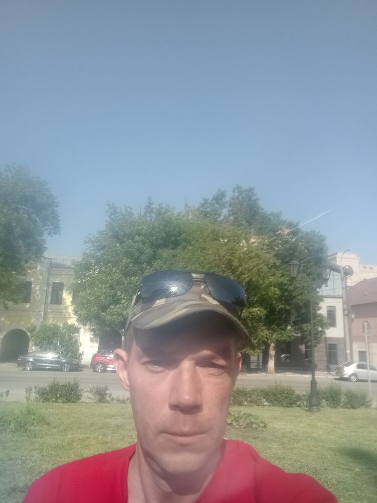  37933262  , 39 ,    