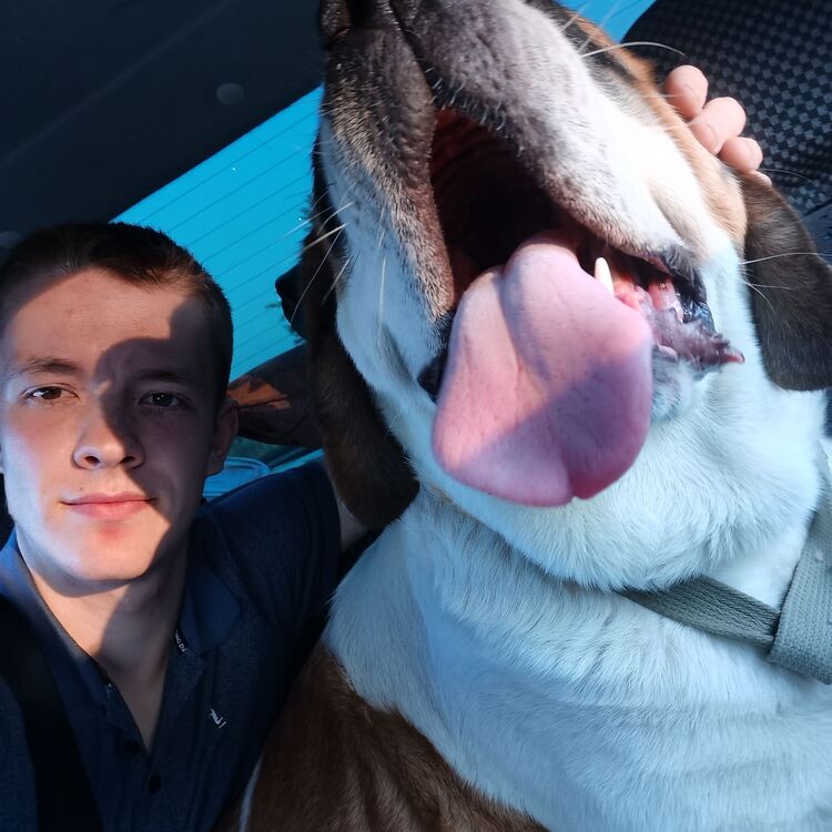 ���������� ������������, ���� ������� ����, 27 ���, ������������ ��� ������, ����� � ���������