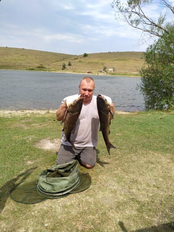 ���������� �����������, ���� ������� �������, 46 ���, ������������ ��� ����� � ���������, c�������� ���������