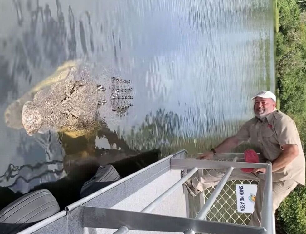 ���� 25723082 ������� ������, 55 ���, ���� ���������� � �����������