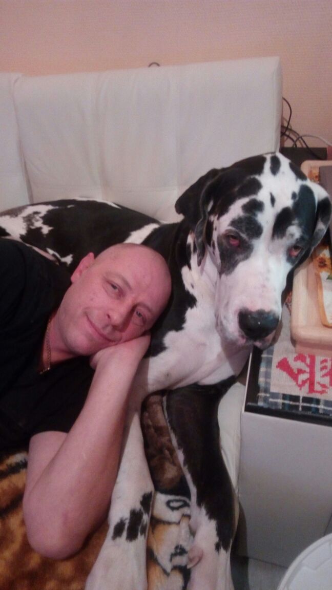 ���������� ������, ���� ������� ������, 49 ���, ������������ ��� ������, ����� � ���������