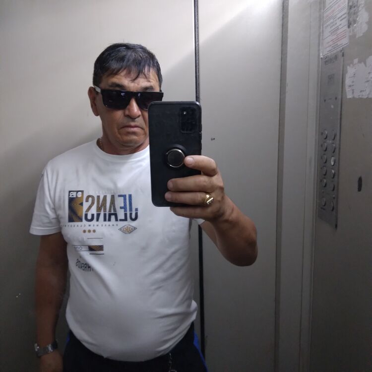  38079502  , 55 ,    