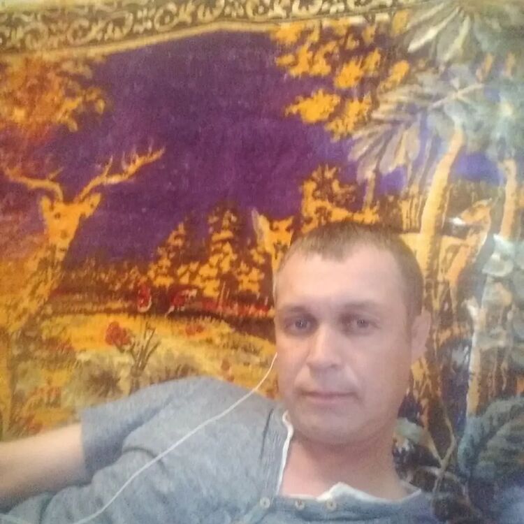  53882632  , 39 ,    -