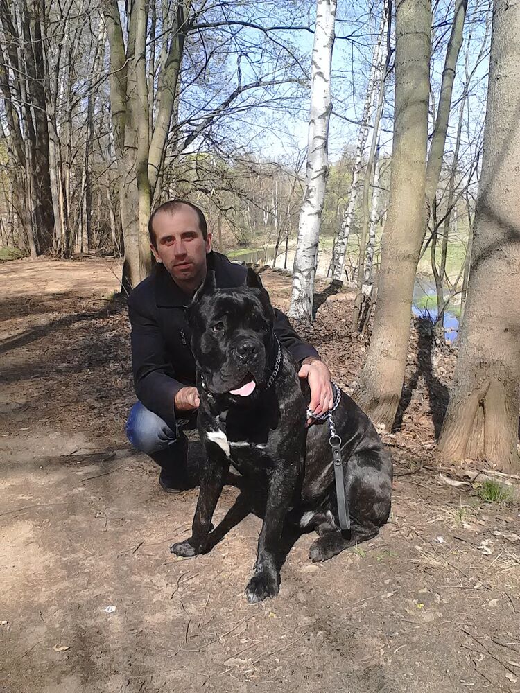 ���� 24128442 ������� ������, 40 ���, ���� ���������� � ������