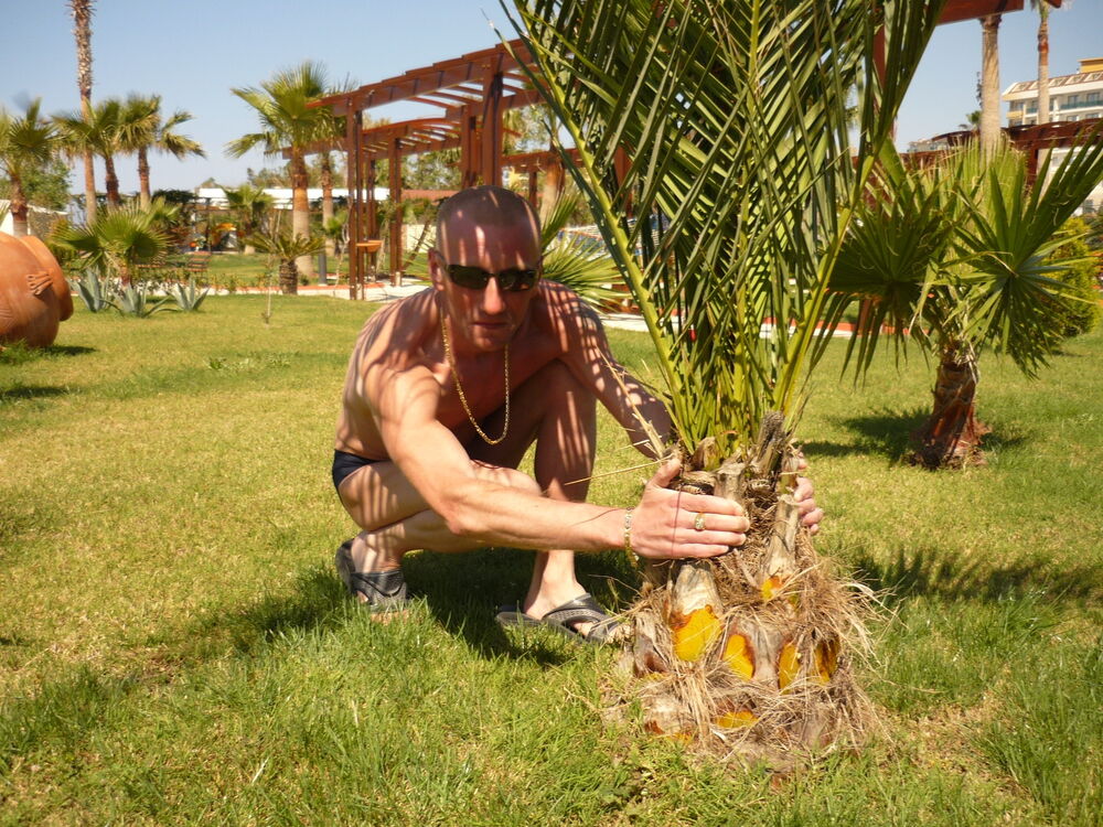 ���� 47979702 ������� ����, 39 ���, ���� ���������� � ������