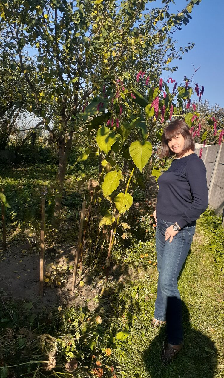  ,   , 50 ,   ,   