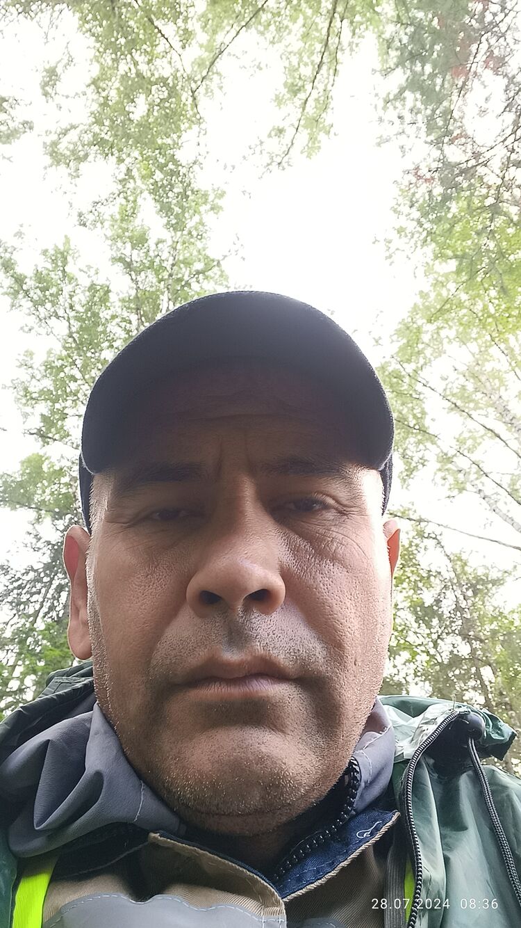  45009182  , 45 ,    