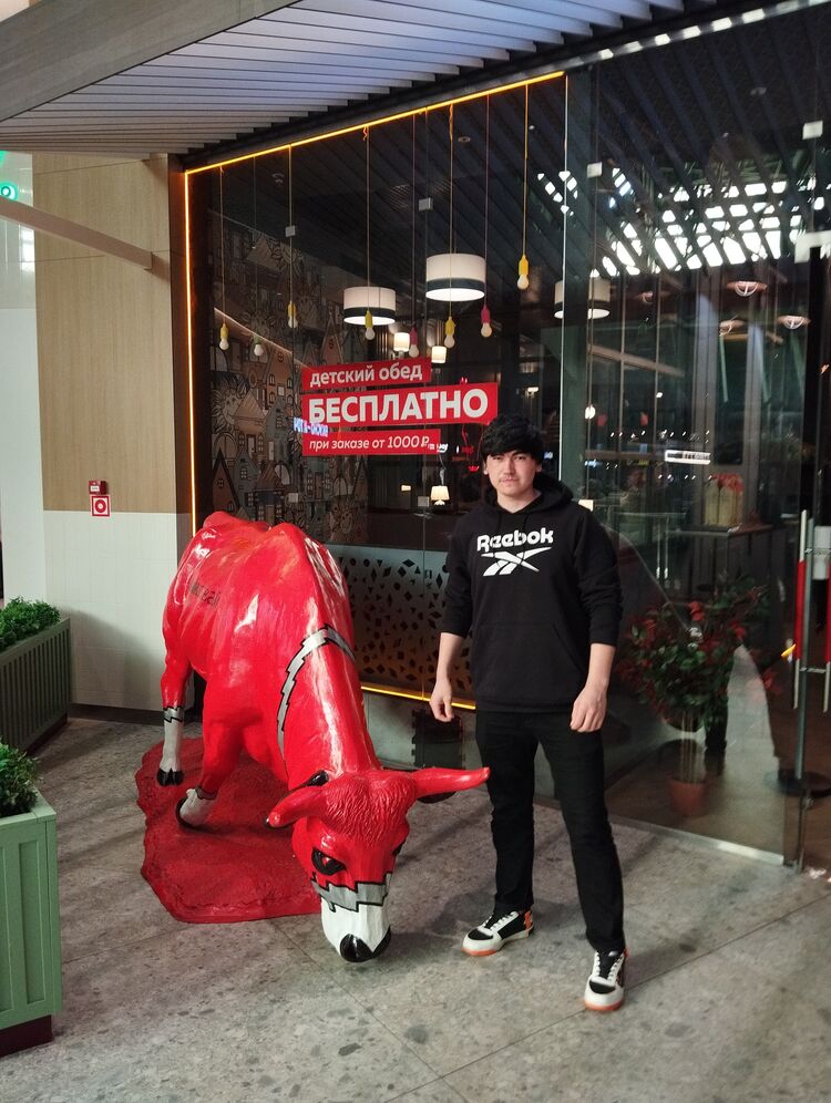 ���� 38704252 ������� ���, 26 ���, ���� ���������� � �����-����������