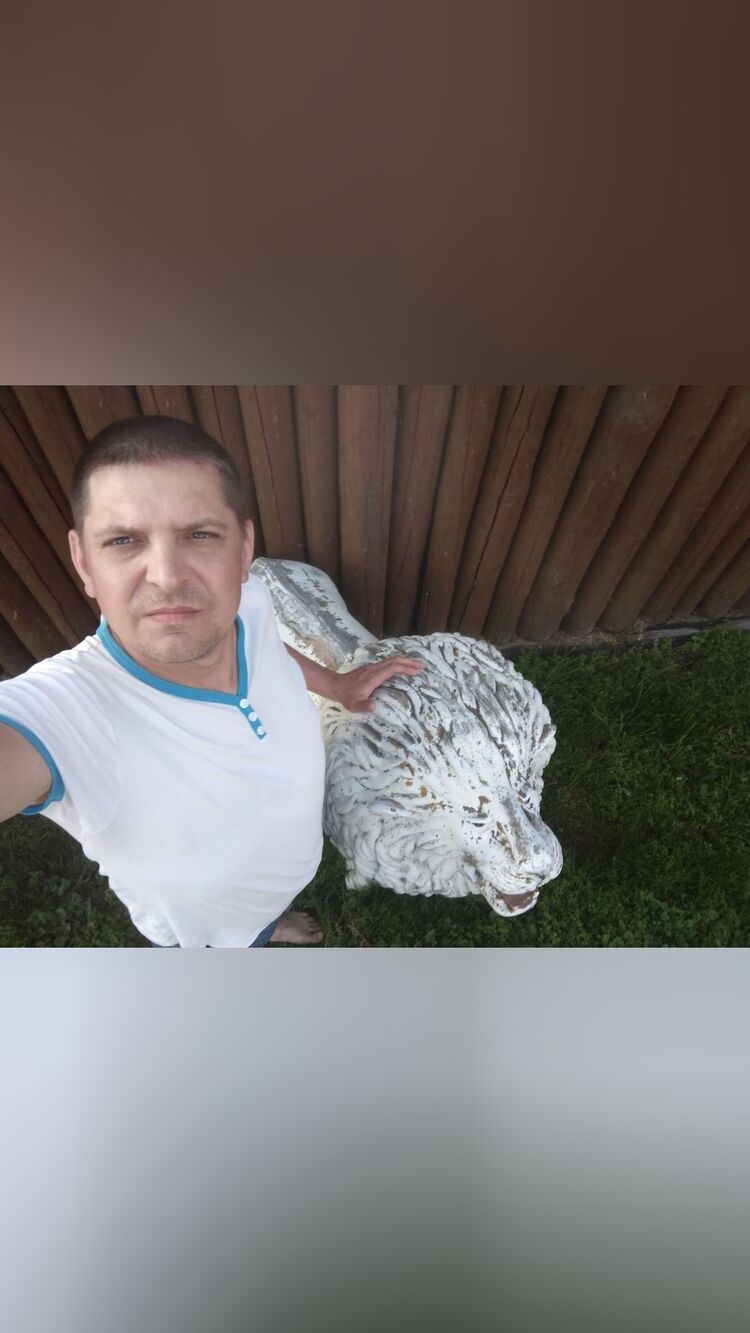  44458442  , 41 ,    