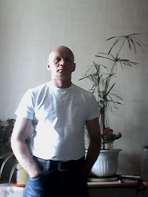  ,   , 53 ,   