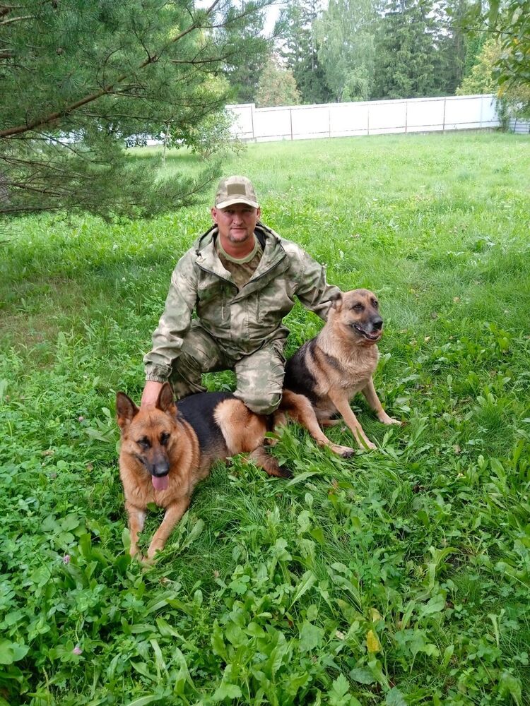 ���� 40014782 ������� �������, 48 ���, ���� ���������� � �������