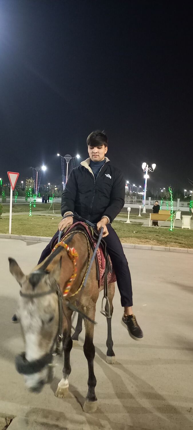 ���������� ������, ���� ����� ������, 24 ����, ������������ ��� c�������� ���������