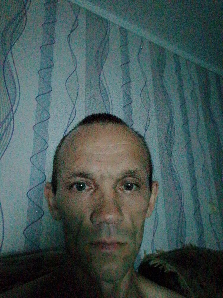  44503582  , 40 ,    