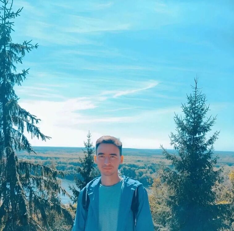  43563892  , 31 ,    