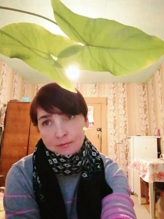 ���������� ������, ���� ������� ������������, 52 ����, ������������ ��� ������, ����� � ���������