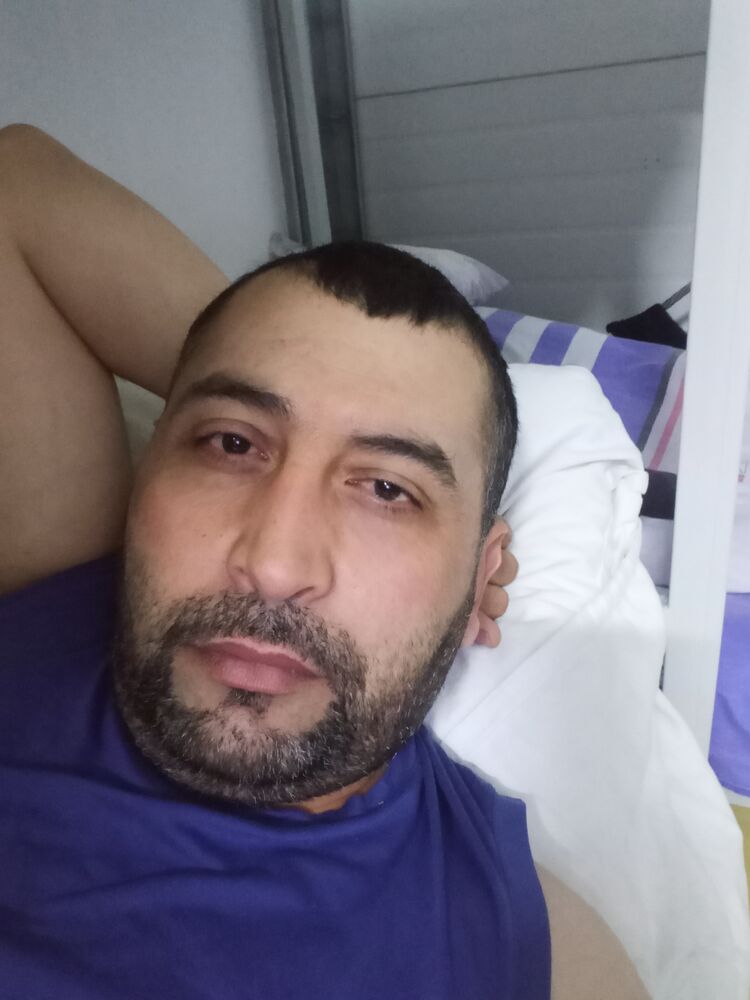 50736692  , 42 ,    -