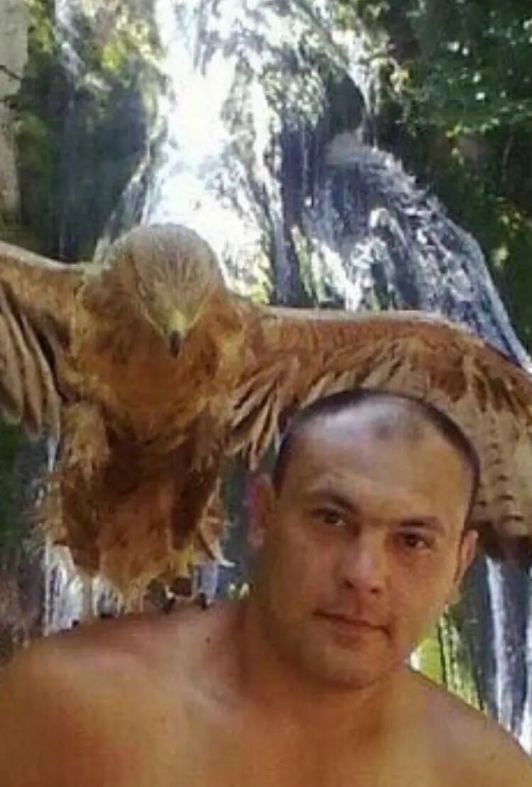  ,   , 41 ,     , c 